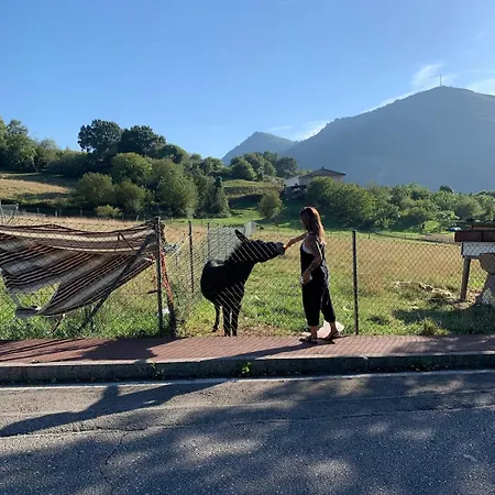 Precioso Atico Con Piscina En Entorno Rural, Relax, Cerca De La Playa Y Montana * Limpias