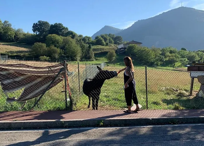 Precioso Atico Con Piscina En Entorno Rural, Relax, Cerca De La Playa Y Montana * Limpias