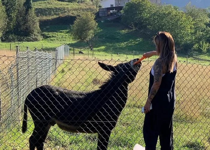 Precioso ático Con Piscina En Entorno Rural, Relax, Cerca De La Playa Y Montaña Apartamento Limpias